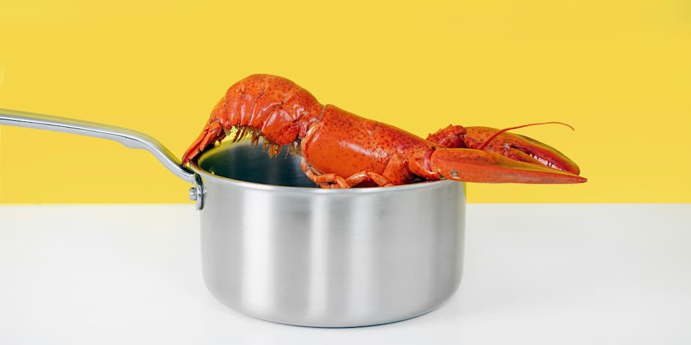 Useful tips and tricks for perfectly cooking crayfish