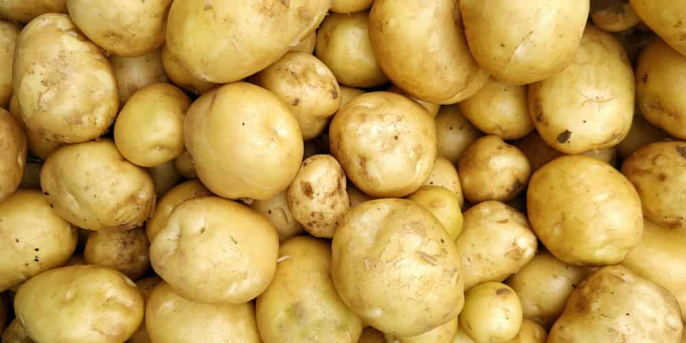 Introduction to cooking potatoes