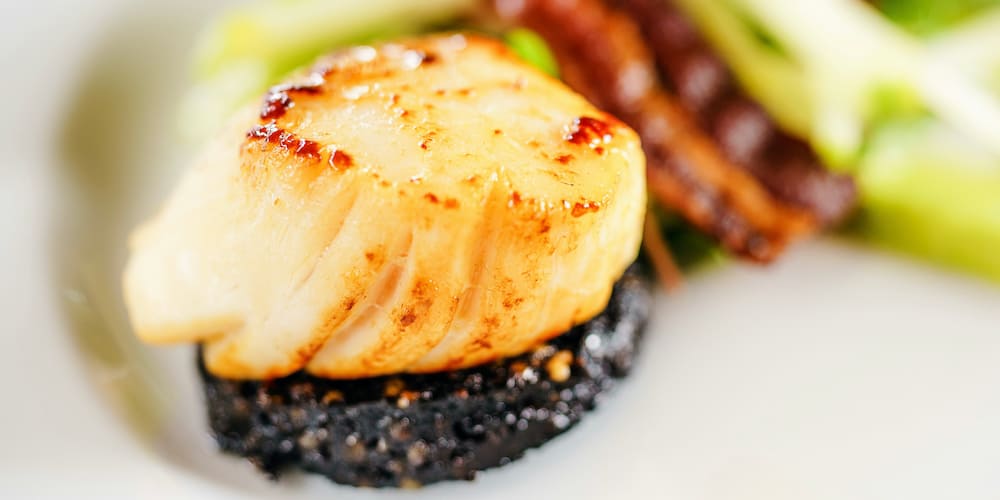 Tips and Tricks for Perfectly Cooked Scallops