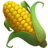 Interesting fact about corn