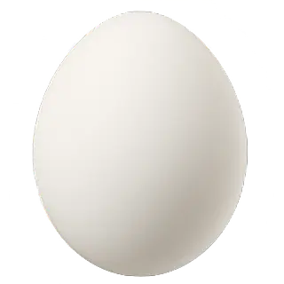 Interesting fact about eggs